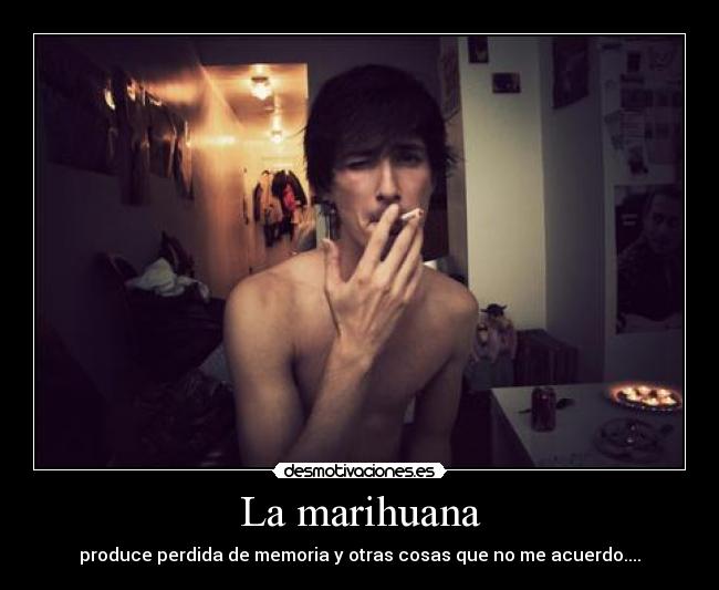 La marihuana - produce perdida de memoria y otras cosas que no me acuerdo....