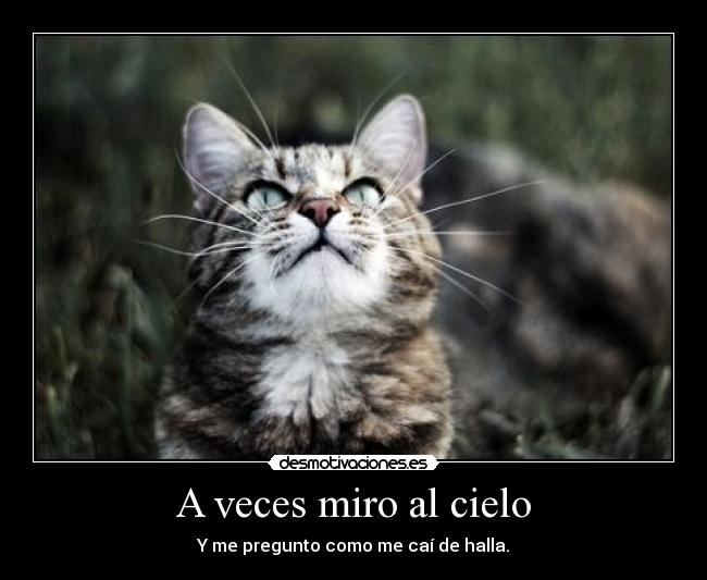A veces miro al cielo - Y me pregunto como me caí de halla.