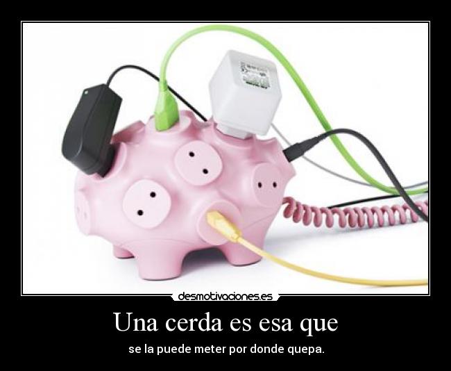 Una cerda es esa que -