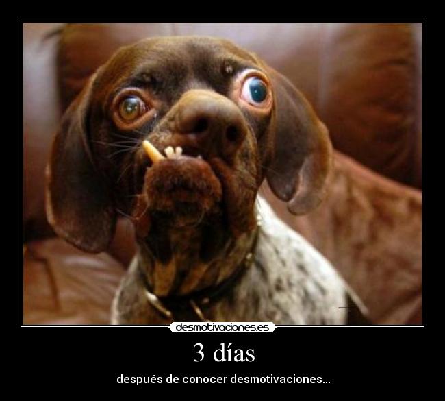 3 días - después de conocer desmotivaciones...