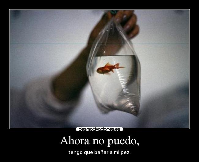 Ahora no puedo, -