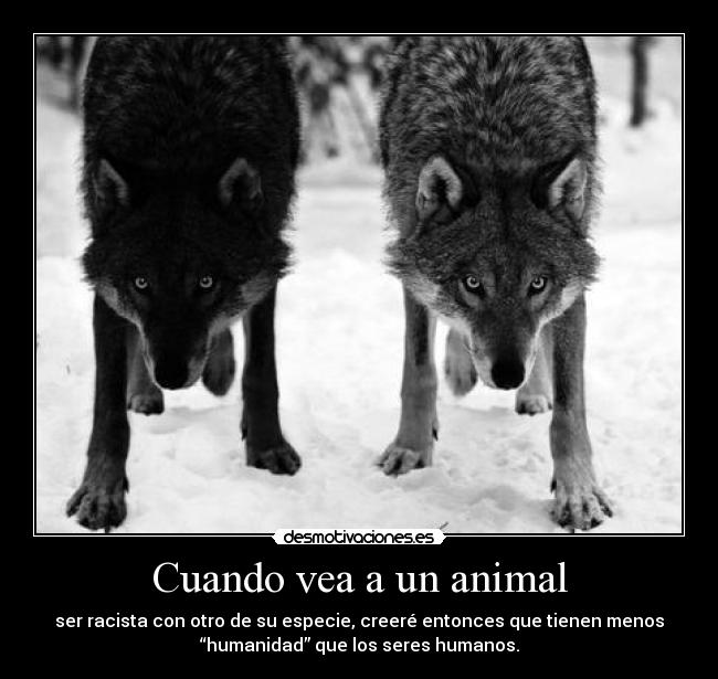 Cuando vea a un animal - ser racista con otro de su especie, creeré entonces que tienen menos
“humanidad” que los seres humanos.