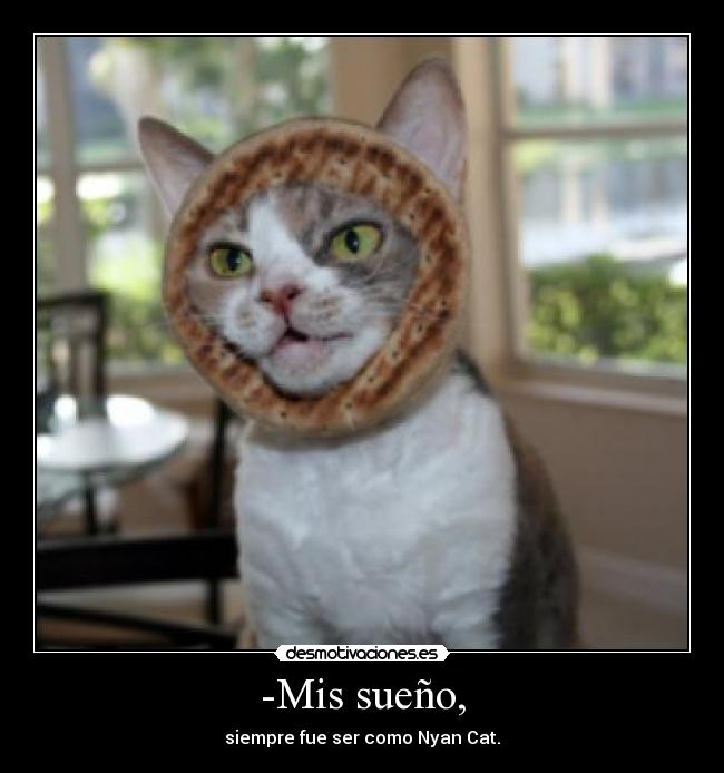 -Mis sueño, - siempre fue ser como Nyan Cat.