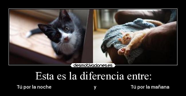 Esta es la diferencia entre: - 
