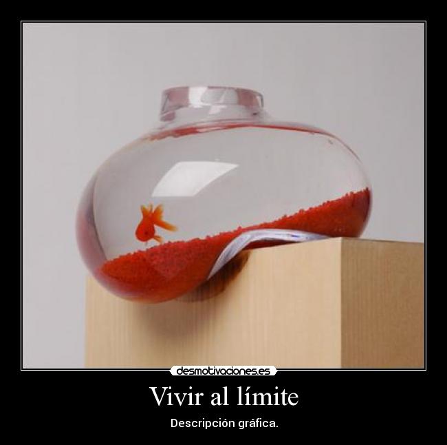 Vivir al límite - Descripción gráfica.