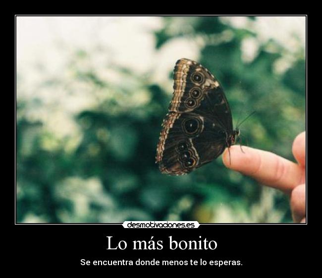 Lo más bonito - 