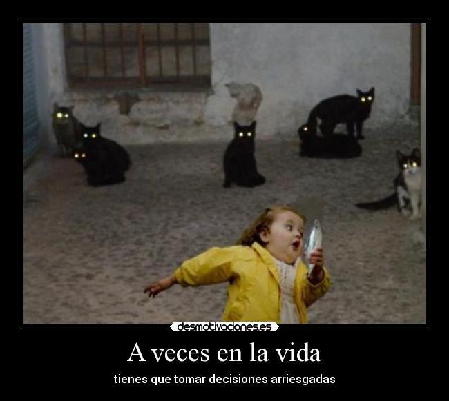 carteles vida clanng desmotivaciones