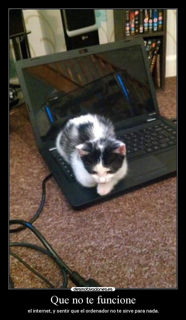 Que no te funcione - 