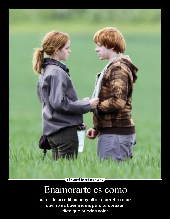 Enamorarte es como - saltar de un edificio muy alto: tu cerebro dice 
que no es buena idea, pero tu corazón
dice que puedes volar