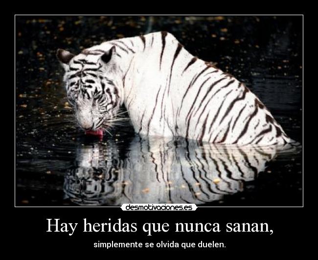 Hay heridas que nunca sanan, - simplemente se olvida que duelen.