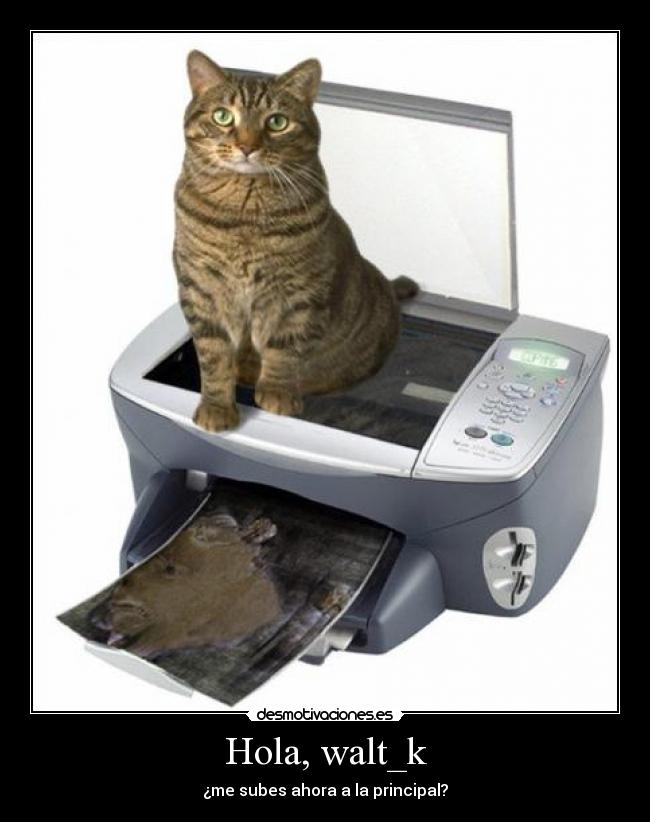 Hola, walt_k - ¿me subes ahora a la principal?