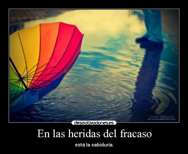 En las heridas del fracaso -