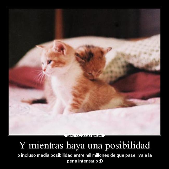 Y mientras haya una posibilidad - o incluso media posibilidad entre mil millones de que pase...vale la pena intentarlo :D