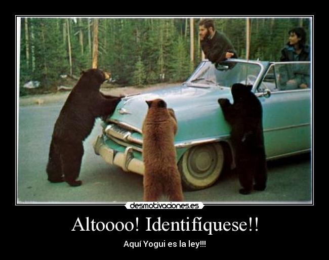 Altoooo! Identifíquese!! - Aquí Yogui es la ley!!!