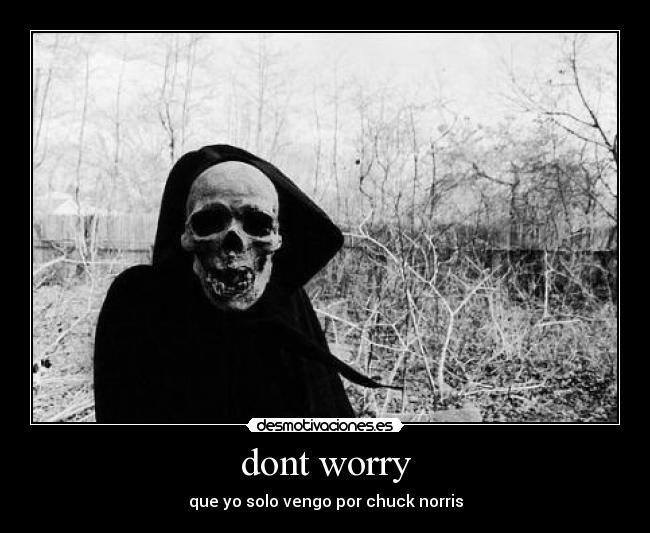 dont worry - que yo solo vengo por chuck norris