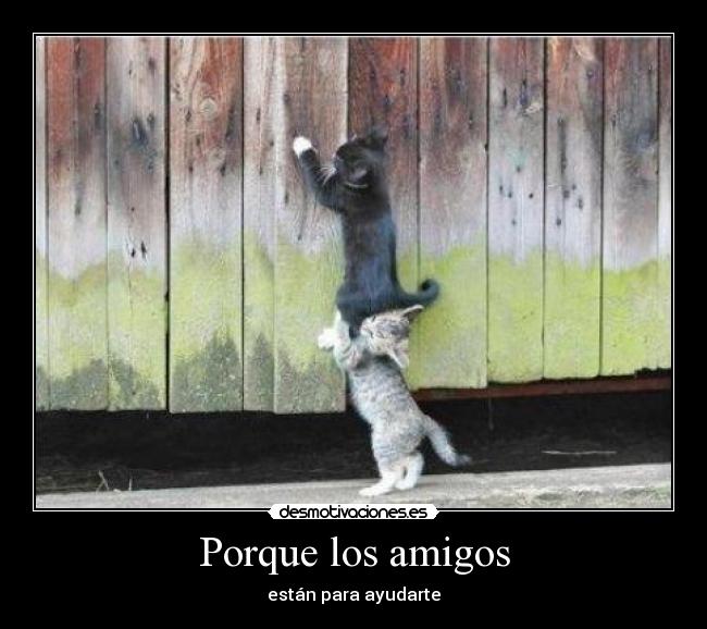 Porque los amigos - 