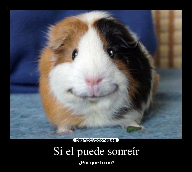 carteles tierno desmotivaciones