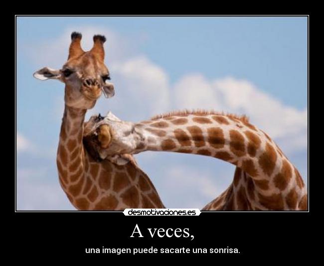 A veces, - una imagen puede sacarte una sonrisa.