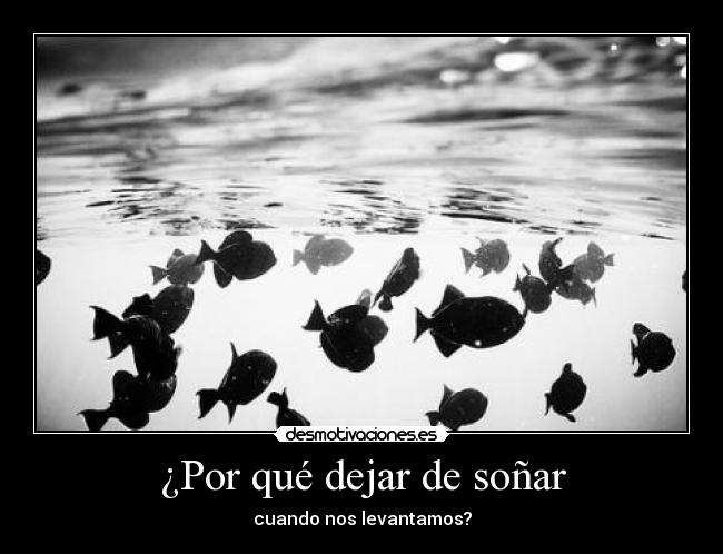 ¿Por qué dejar de soñar - 
