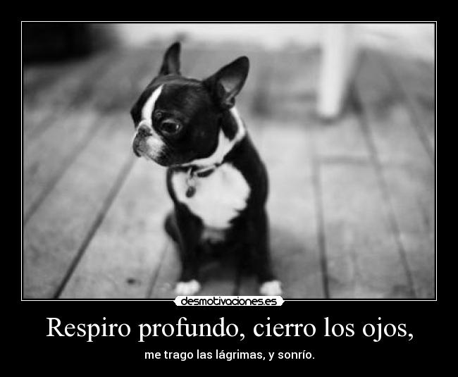 Respiro profundo, cierro los ojos, - me trago las lágrimas, y sonrío.