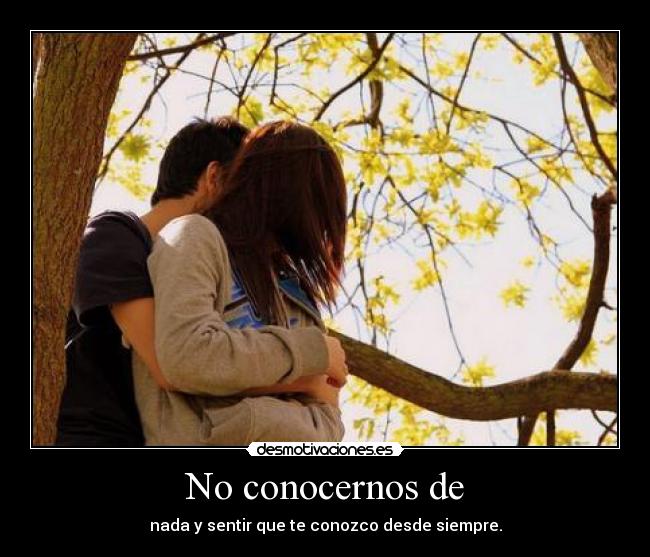 No conocernos de - nada y sentir que te conozco desde siempre.
