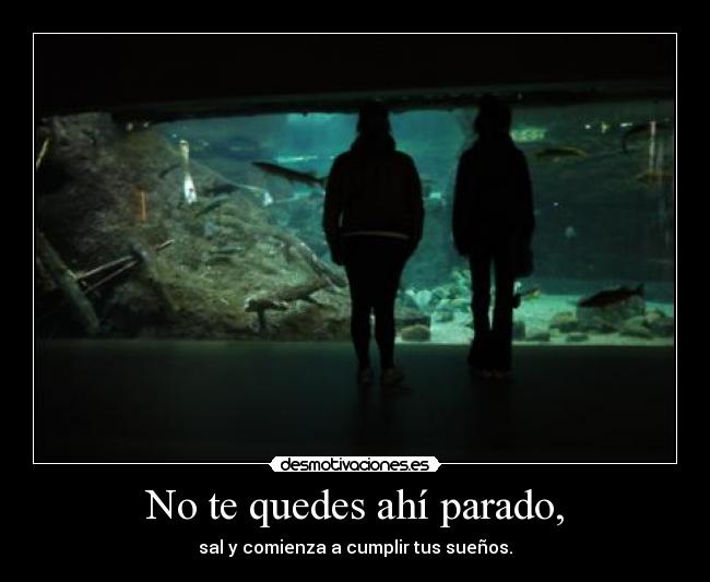 No te quedes ahí parado, - sal y comienza a cumplir tus sueños.