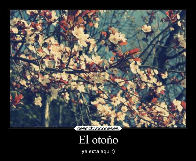 carteles octubre noviembre otono epoca favorita hojas secas romantico tranquilidad algo lluvia desmotivaciones