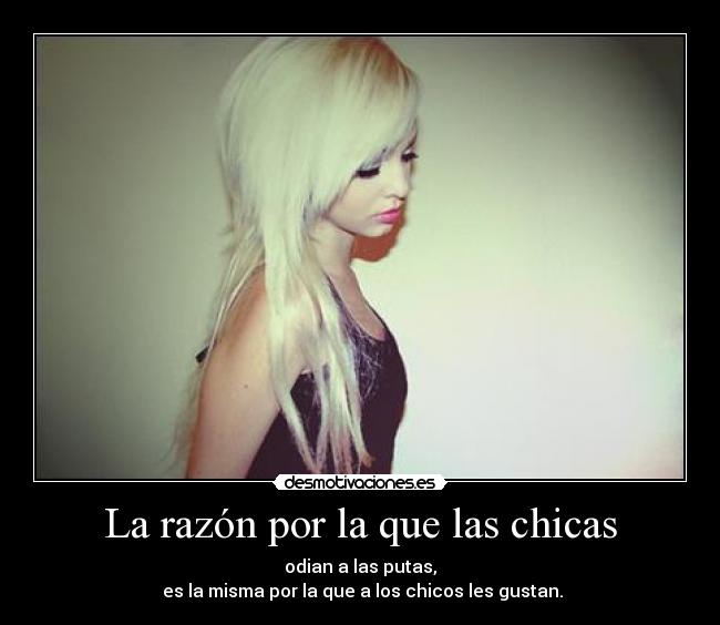 La razón por la que las chicas - odian a las putas,
es la misma por la que a los chicos les gustan.