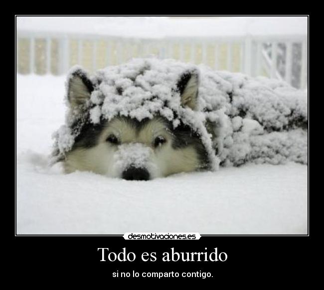 Todo es aburrido -