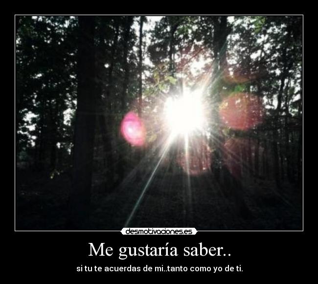 Me gustaría saber.. -