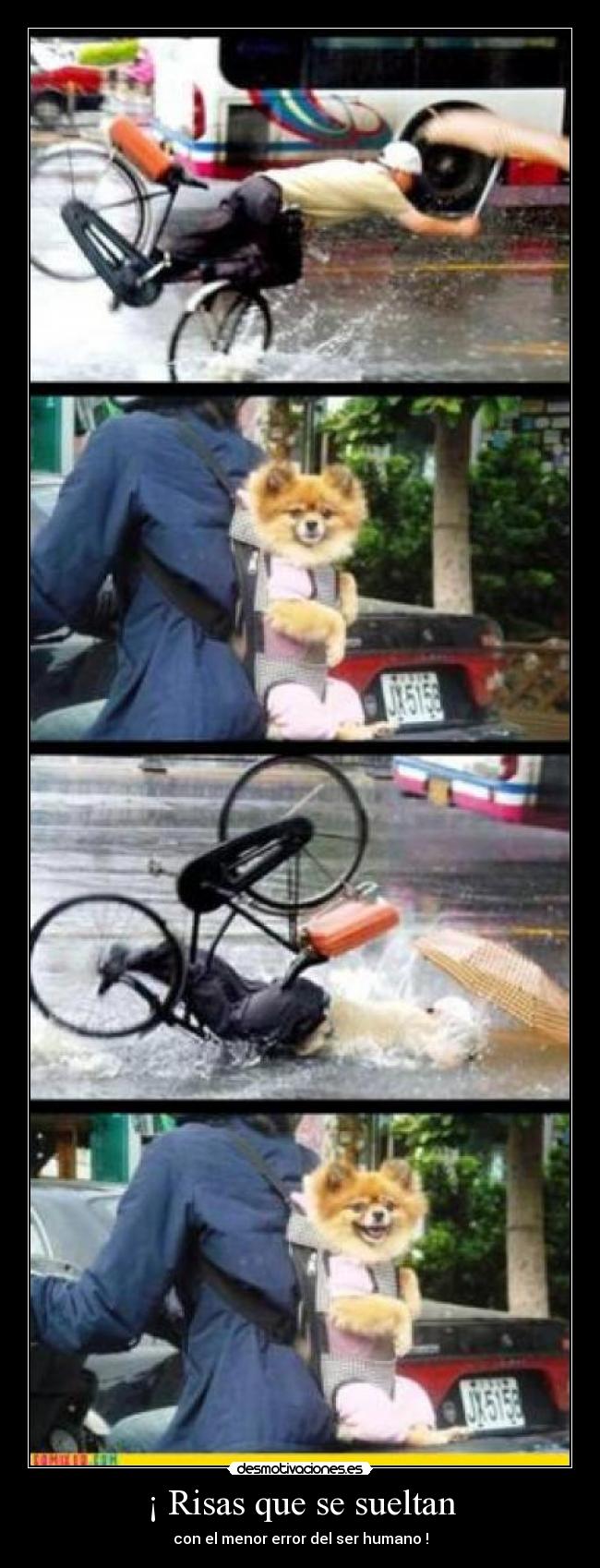 ¡ Risas que se sueltan -