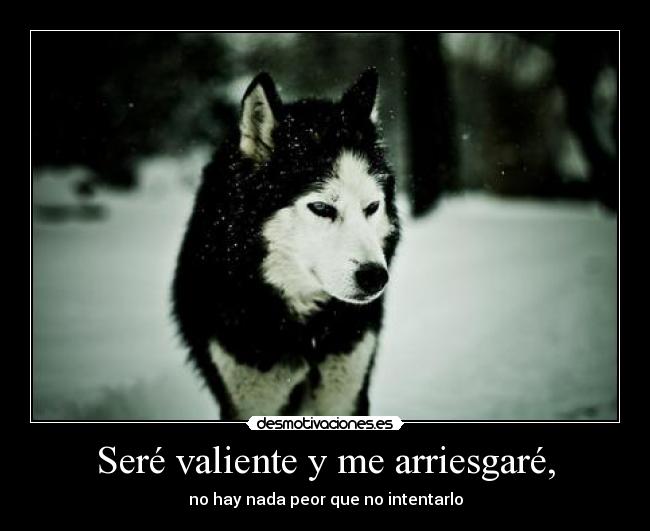 Seré valiente y me arriesgaré, - 