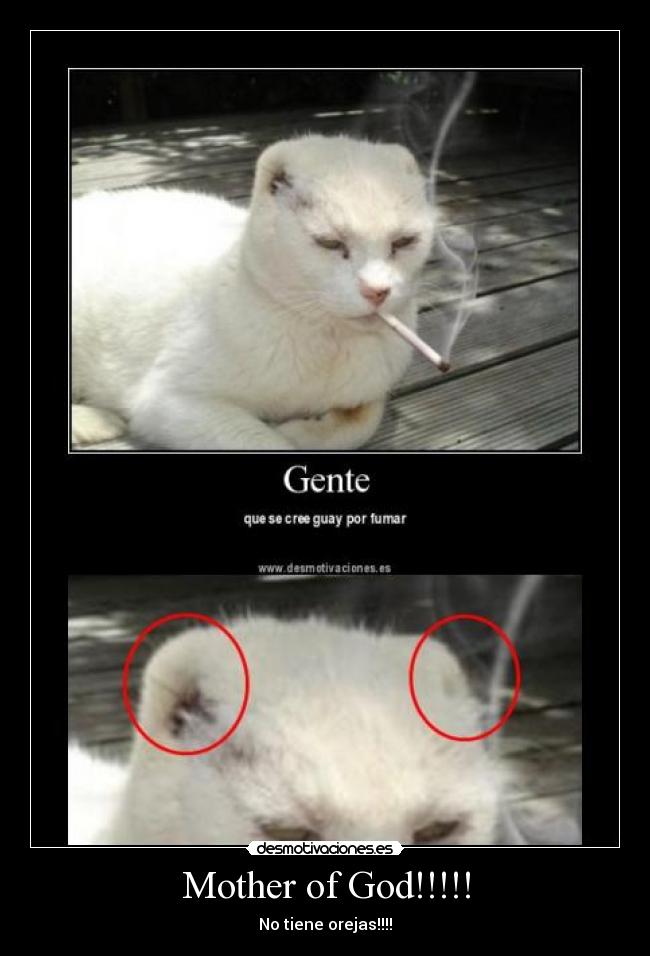 Mother of God!!!!! - No tiene orejas!!!!