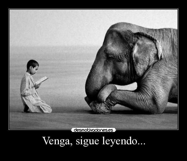Venga, sigue leyendo... -