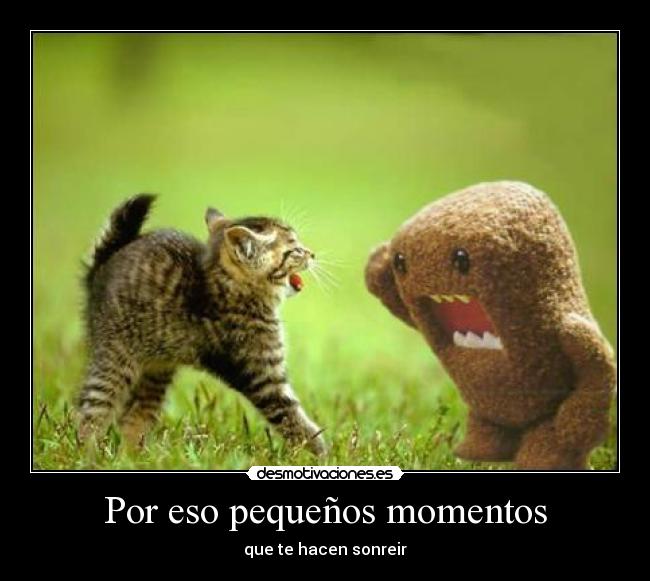 Por eso pequeños momentos - que te hacen sonreir