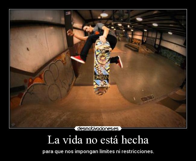 carteles vida mycrazyandstupidworld skate desmotivaciones