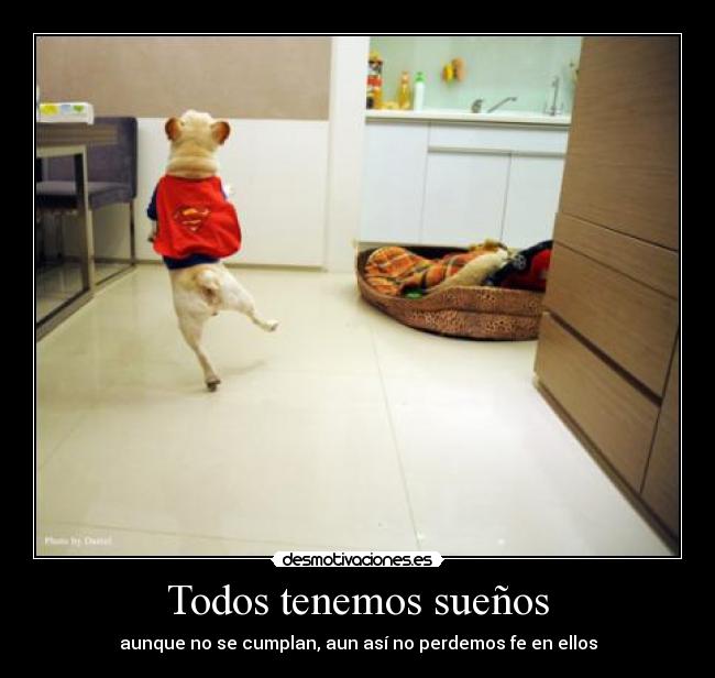 Todos tenemos sueños - aunque no se cumplan, aun así no perdemos fe en ellos