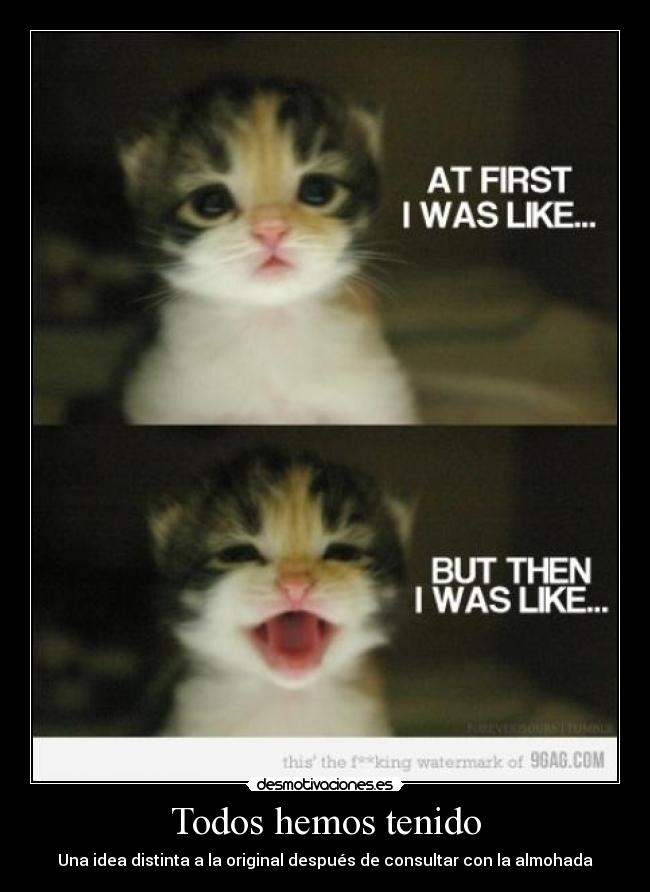 Todos hemos tenido -