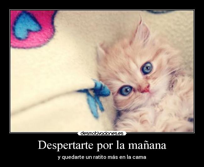 Despertarte por la mañana - 