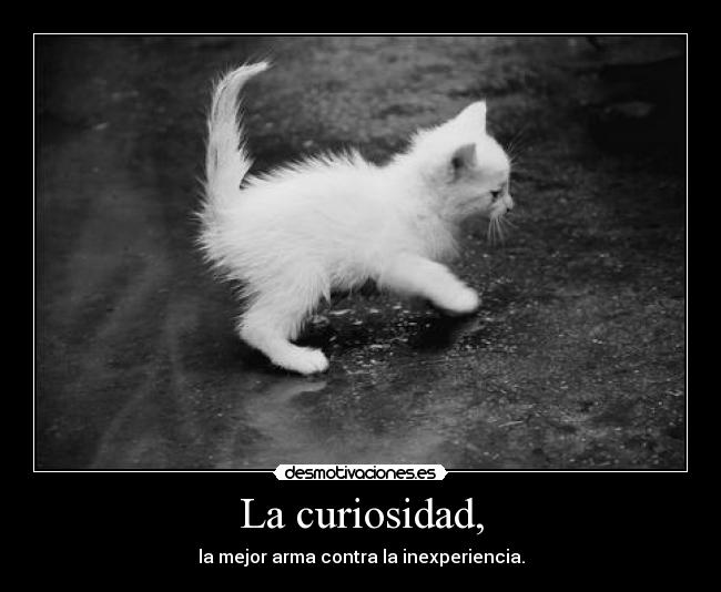 La curiosidad, - 