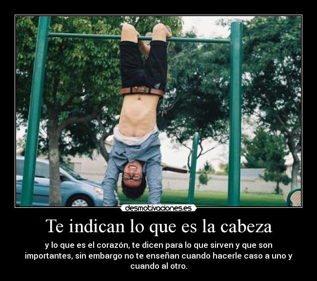 Te indican lo que es la cabeza - y lo que es el corazón, te dicen para lo que sirven y que son
importantes, sin embargo no te enseñan cuando hacerle caso a uno y
cuando al otro.