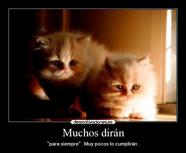 Muchos dirán - para siempre . Muy pocos lo cumplirán .