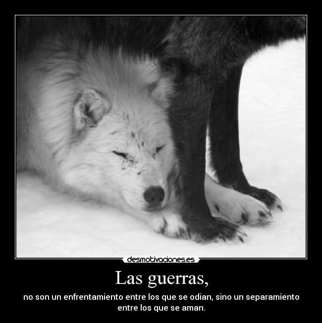 Las guerras, - no son un enfrentamiento entre los que se odian, sino un separamiento
entre los que se aman.