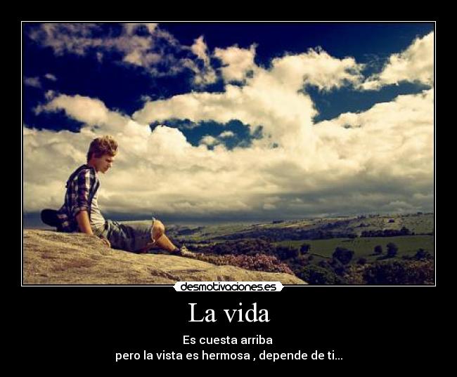 La vida - 
