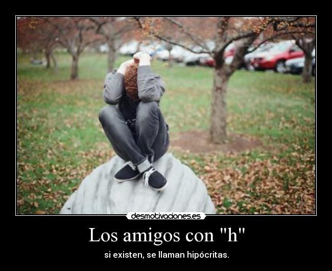 carteles amigos amigos falsos desmotivaciones