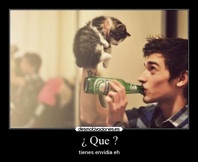 ¿ Que ? - 