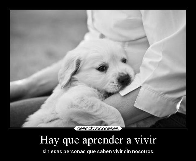 Hay que aprender a vivir -