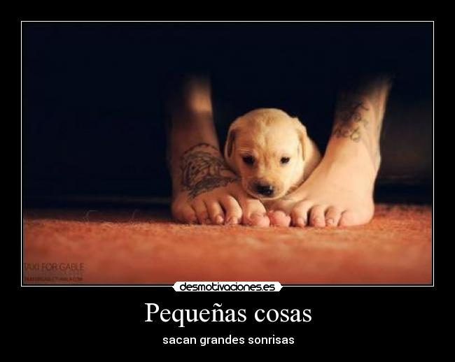 Pequeñas cosas -