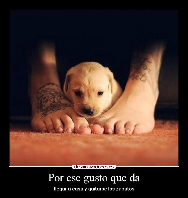 Por ese gusto que da - llegar a casa y quitarse los zapatos