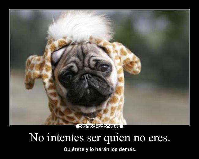 No intentes ser quien no eres. - Quiérete y lo harán los demás.